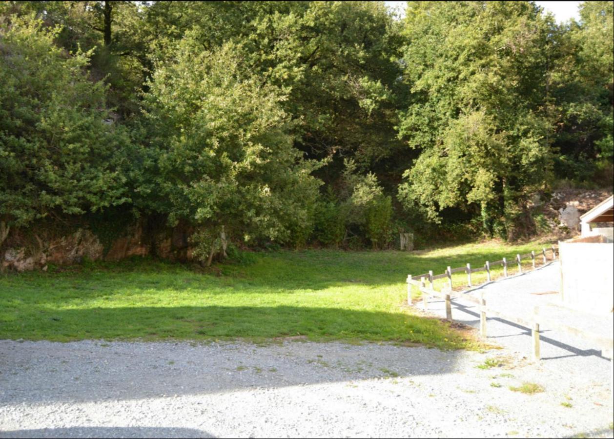 Demeure Du Castel Bed and Breakfast Les Châtelliers-Châteaumur Εξωτερικό φωτογραφία